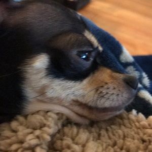 Meet your Posher, Antonella